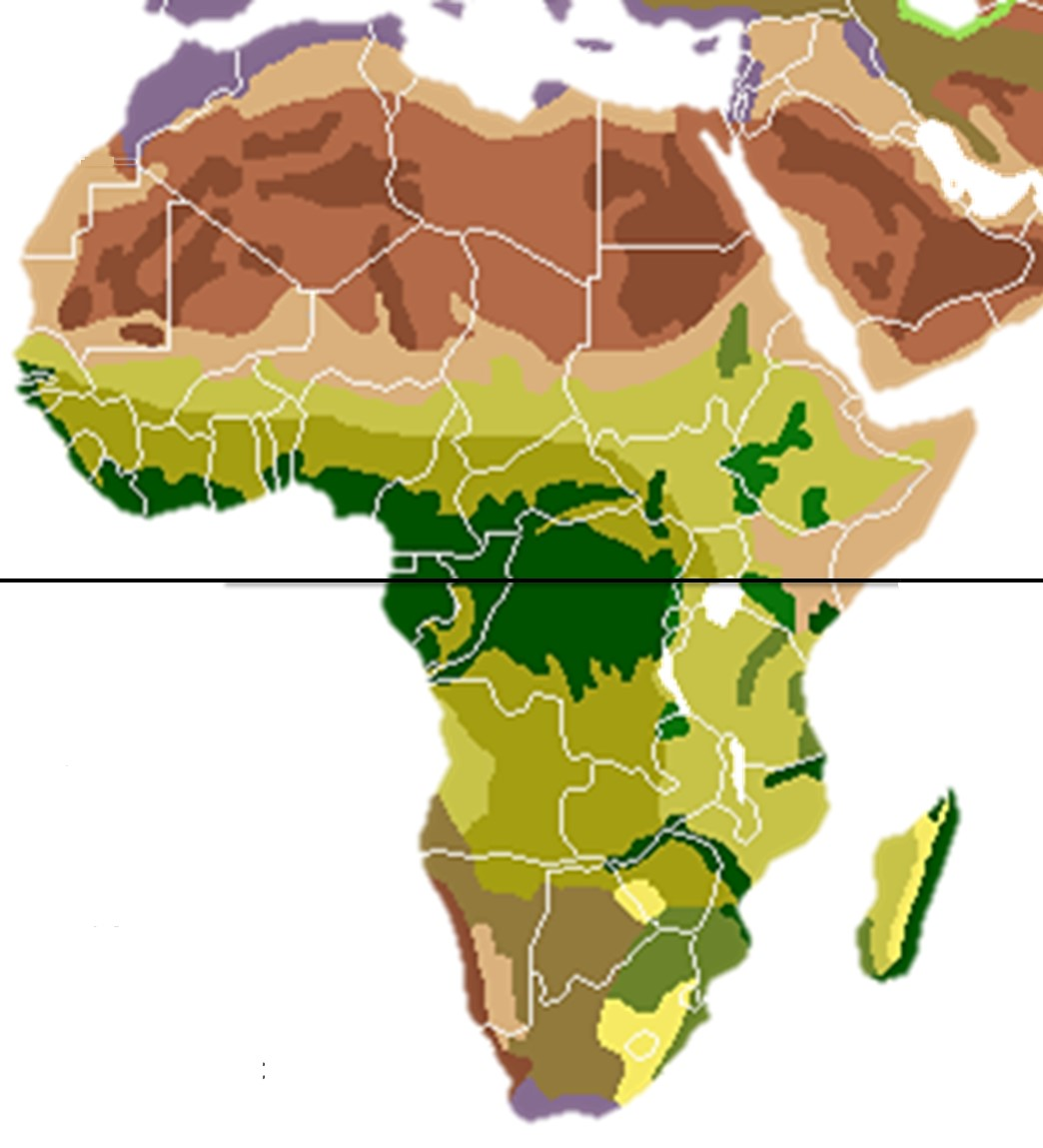 Africa, The Continent Most Sensitive to Climate Change
