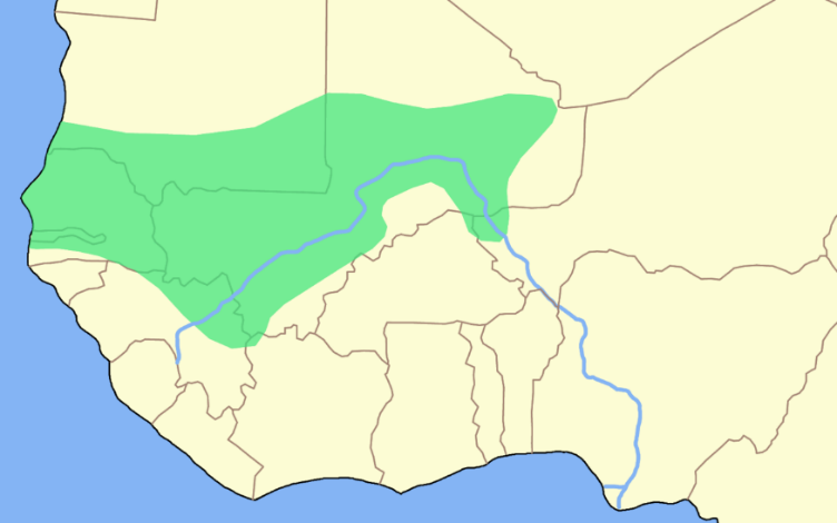 Africa and its three great empires