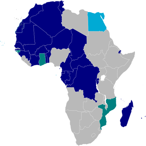 AFRICA'S LINGUISTIC DIVERSITY