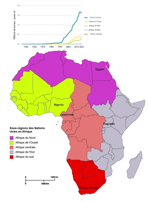 Fisheries and aquaculture in africa